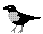 logo_magpie